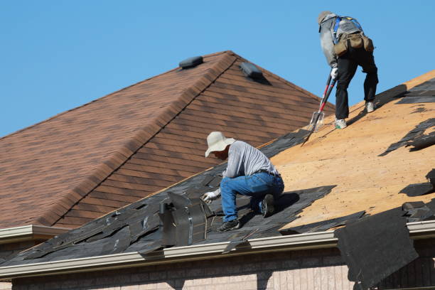 Best Roof Leak Repair  in Wrightsville, AR